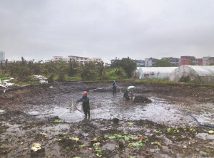 海港河道鱼塘清淤